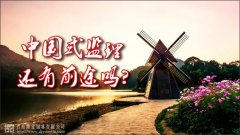 中國(guó)式監(jiān)理，還有前途嗎？